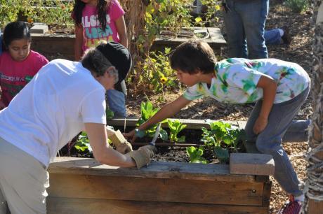 Sac City Unified Honored for Environmental Excellence by California
