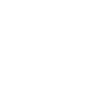 Approval icon