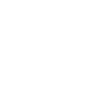 Heart Icon