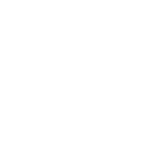 Conversation Icon
